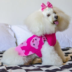 CuteBone dog sweater with harness hole for easy control during walks.
