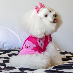 CuteBone high-collar dog sweater protects the neck with stylish design.