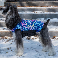 CuteBone Winter Dog Coat windproof design shields your pet in blustery walks.