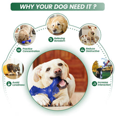 CVALIN large-breed toy for bonding during indoor-outdoor play.
