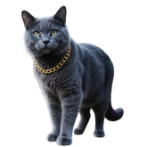 CWYZA collar cubano dorado para gatos, ideal para fotos y estilo diario.