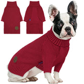 cyeollo dog sweater warm-turtleneck on dog showcases cozy winter warmth