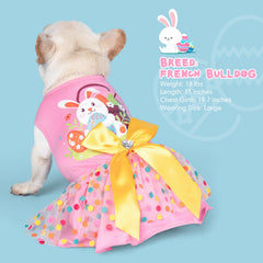 cyeollo dog dress pullover design for easy on-off on small pets