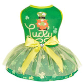 Cyeollo St. Patrick's Day dress worn on a small dog for festive comfort