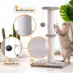 Czoynife hanging ball cat toy encourages interactive play and exploration.