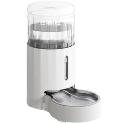 CZPET 4L pet water dispenser setup demonstrates gravity refill for continuous fresh water.
