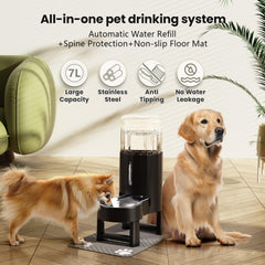 CZPET non-slip splash mat catches spills during playtime.