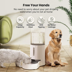 CZPET stainless steel bowl attachment highlights hygienic drinking for pets.