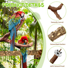 CZWESTC Prickly Ash Sticks 7-9 Inch textures promote safe nibbling and grip