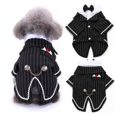 DENTRUN dog tuxedo front view with bow tie showcases wedding-ready formal style.