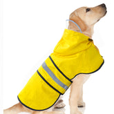 Dadanfly dog raincoat yellow on a dog for dry, protected walks.