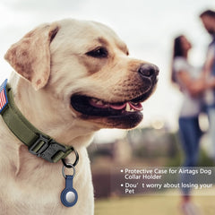 DAGANXI nylon collar 1000D highlights durability for daily training and long walks.