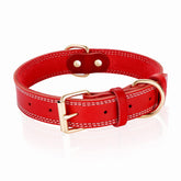 DAIHAQIKO dog collar leather texture showing soft, durable everyday wear.