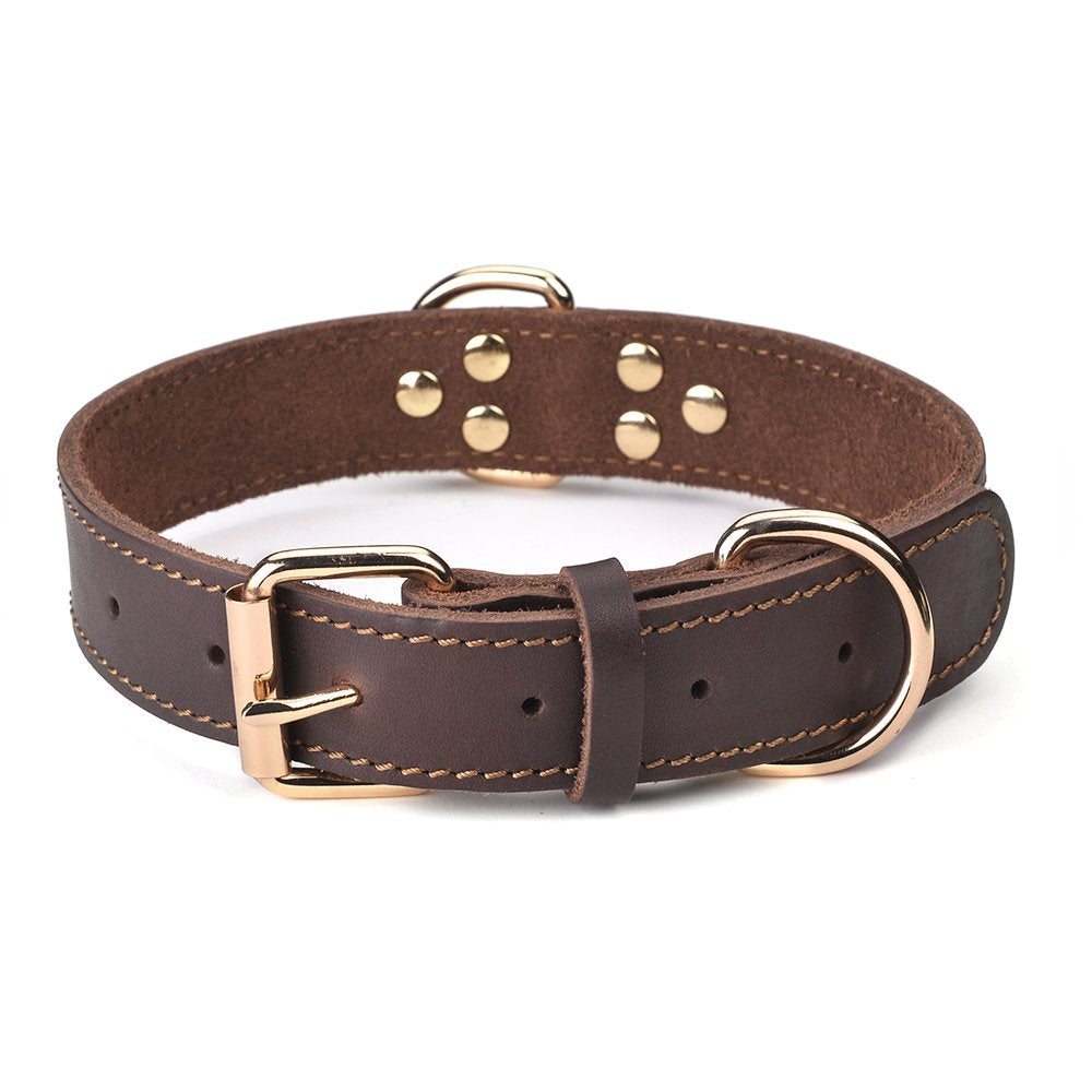 DAIHAQIKO leather dog collar closeup buckle for durable daily wear.