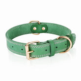 DAIHAQIKO leather dog collar close-up shows supple texture for comfortable all-day wear.