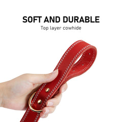 DAIHAQIKO welded D-ring detail emphasizes strong leash and tag connections during outdoor walks.