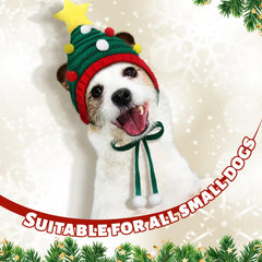 Dansydaisy dog hat with gold bell on green stripe for Christmas outfits.