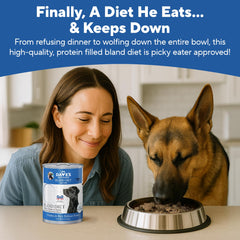 Dave's Pet Food Bland Diet kibble closeup emphasizes digestible chicken and rice texture