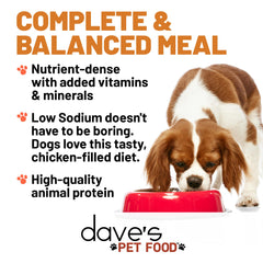 Dave's Pet Food chicken pate canned dog food image shows moisture-rich texture dogs love.