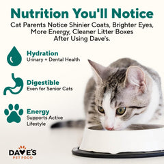 Dave's Pet Food can on a feeding surface demonstrates convenient portion control