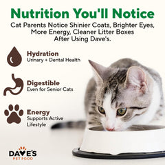 Dave's Pet Food turkey pate ingredient list with vitamins