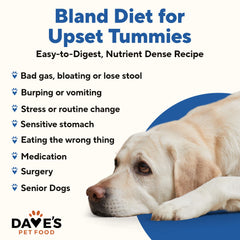 Dave's Pet Food Sensitive Stomach chicken-rice ingredients closeup highlights a simple recipe for sensitive pups