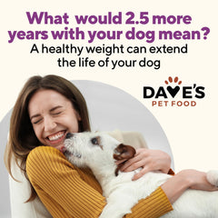 Dave's Pet Food Weight Management bowl shows a savory, wet meal dogs may enjoy.