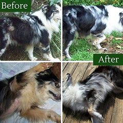 Davis TheraCoat granules on a spoon highlight easy daily dosing for pets.