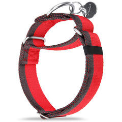 Dazzber martingale collar hardware closeup shows aluminum and stainless components