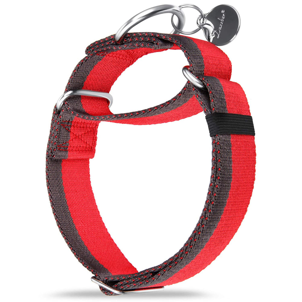 Dazzber martingale collar side view shows rugged nylon for tough dogs