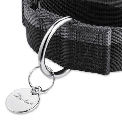 Dazzber Martingale Collar side view showing wide 1.5 inch profile for large dogs.