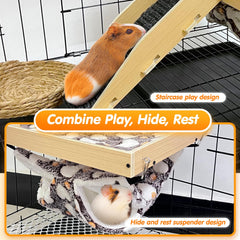 DCIAER guinea pig staircase-access view for easy exploration