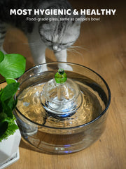 DCIOGAT hygienic filtration system image conveys clean, circulating water for ongoing freshness.