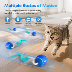 ddxcoo automatic cat toy ball blue high-speed mode for lively play