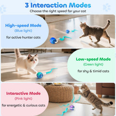 ddxcoo automatic cat toy ball green low-speed mode for shy cats