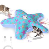ddxcoo rechargeable interactive cat toy with blue-purple cover, front view, supports indoor play.