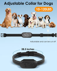 DDZ IPX7 waterproof collar for all-weather training, rain or pool play.
