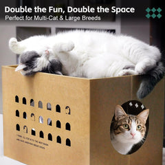 Close-up of catnip scent and soft cardboard texture for lounging by Deamoser.