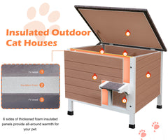 Deblue outdoor cat house interior spacious view demonstrates ample space for two cats to lounge.