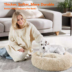Deconovo Calming Donut Dog Bed small-dog using on carpet demonstrates cozy nesting and calm naptime.