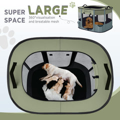 Dekool foldable playpen with anchor straps for stable setup on varied surfaces during outings.