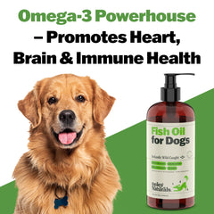 Deley Naturals Dog Fish Oil supports joint mobility during play
