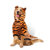 DELIFUR tiger costume dog front view, ideal for Halloween photos