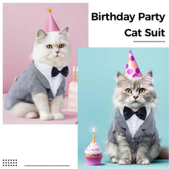 DENTRUN hairless cat costume back bowknot adds elegance