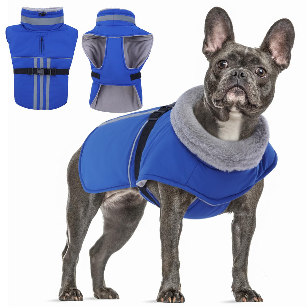 DENTRUN waterproof dog coat windproof keeps your dog dry and warm on walks.