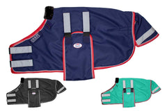 Derby Originals reflective safety blanket on foal in pasture for visibility and safety