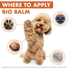 Dermoscent Bio Balm hyperkeratotic-nose image emphasizes soothing protection for rough noses.