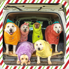 DERPYCHAPPY dog bathrobe with Velcro strap close-up shows secure post-bath fit.