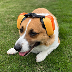 derYEP Dog Earmuffs GEN2 soft padding for comfortable all-day wear