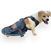 deryep pet scooter wheelchair front view protects chest and limbs during outdoor strolls